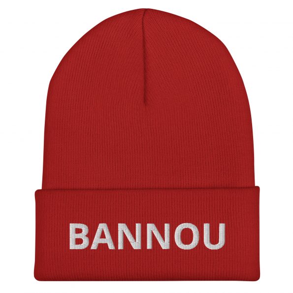 cuffed-beanie-red-front-6a25df38b54a3.jpg