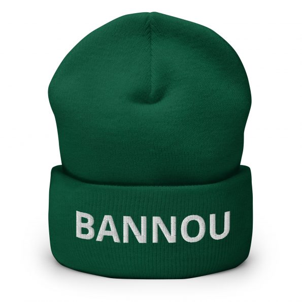 cuffed-beanie-spruce-front-6a25df38b2670.jpg
