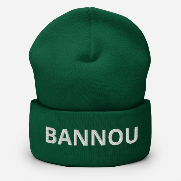 cuffed-beanie-spruce-front-6a25df38b2e26.jpg