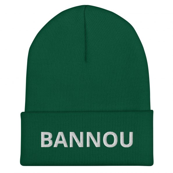 cuffed-beanie-spruce-front-6a25df38b5527.jpg