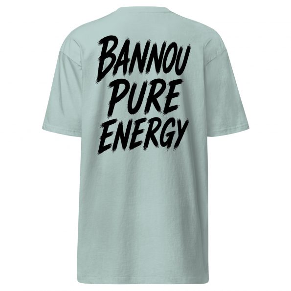 mens-premium-heavyweight-tee-agave-back-6a30365063963.jpg