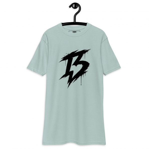 mens-premium-heavyweight-tee-agave-front-6a303650616c3.jpg