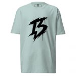 mens-premium-heavyweight-tee-agave-back-6a30365063963.jpg