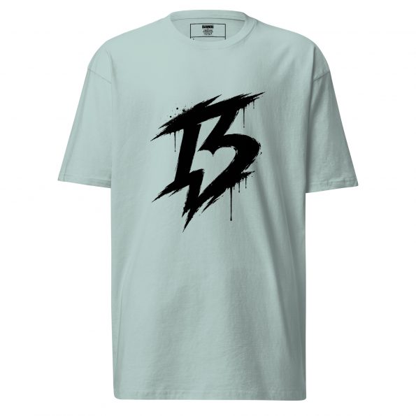 mens-premium-heavyweight-tee-agave-front-6a30365062ede.jpg