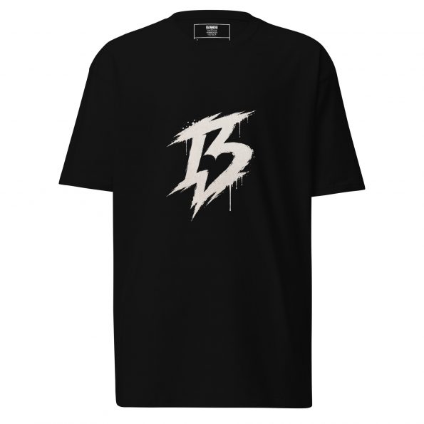 mens-premium-heavyweight-tee-black-front-6a2d39b3ca89e.jpg