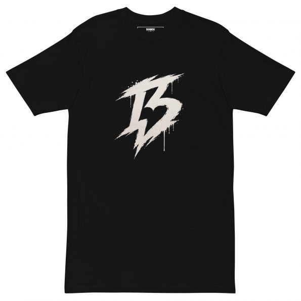mens-premium-heavyweight-tee-black-front-6a2fc820a29bb.jpg