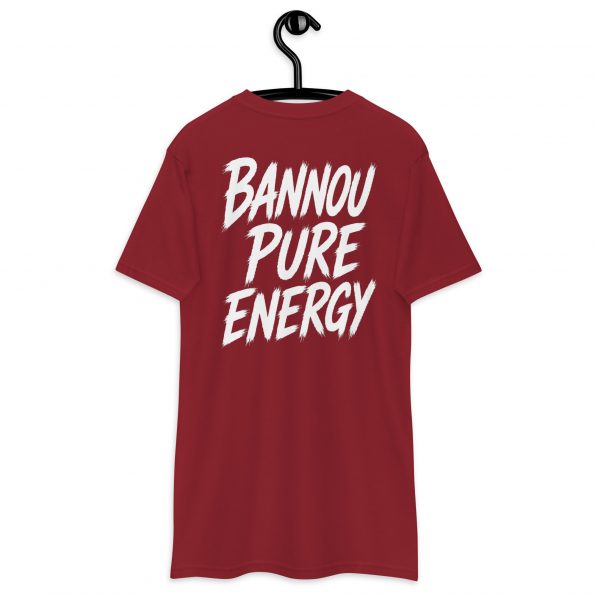 mens-premium-heavyweight-tee-brick-red-back-6a30328d72427.jpg