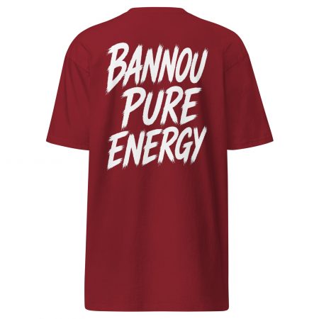 BANNOU Pure Energy Hoodie – Unlimited Power Collection