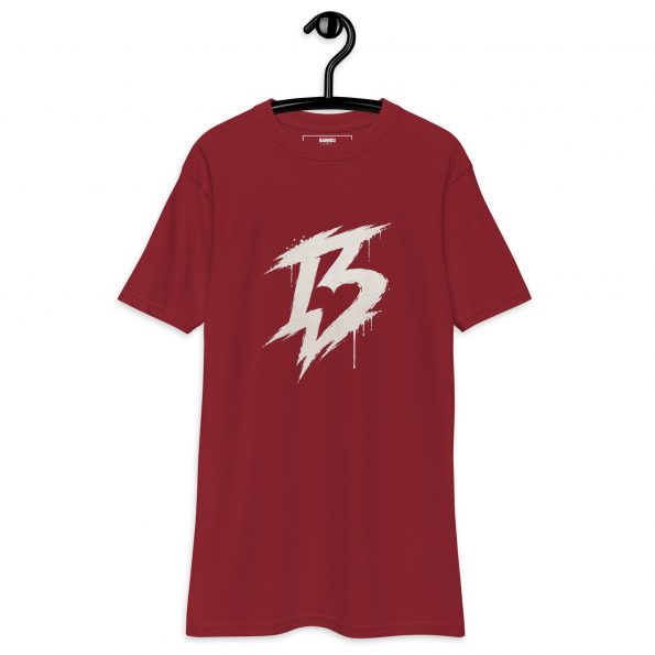 mens-premium-heavyweight-tee-brick-red-front-6a30328d75d33.jpg
