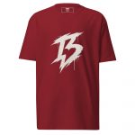 mens-premium-heavyweight-tee-brick-red-back-6a30328d793c1.jpg