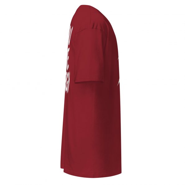 mens-premium-heavyweight-tee-brick-red-right-6a30328d7b351.jpg