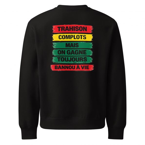 unisex-oversized-heavyweight-sweatshirt-black-back-6a26c41064ea2.jpg