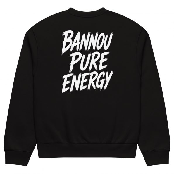 unisex-oversized-heavyweight-sweatshirt-black-back-6a30794b417c9.jpg