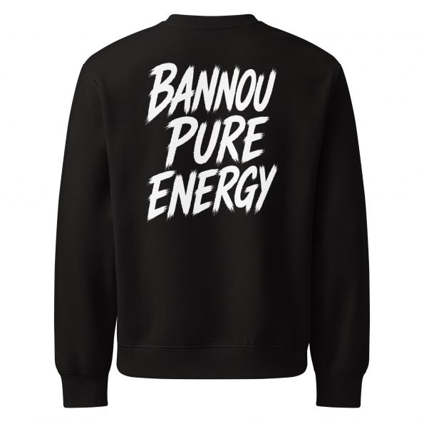 unisex-oversized-heavyweight-sweatshirt-black-back-6a30794b4216f.jpg