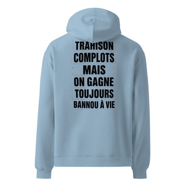 unisex-relax-hoodie-carolina-blue-back-6a26d25761529.jpg