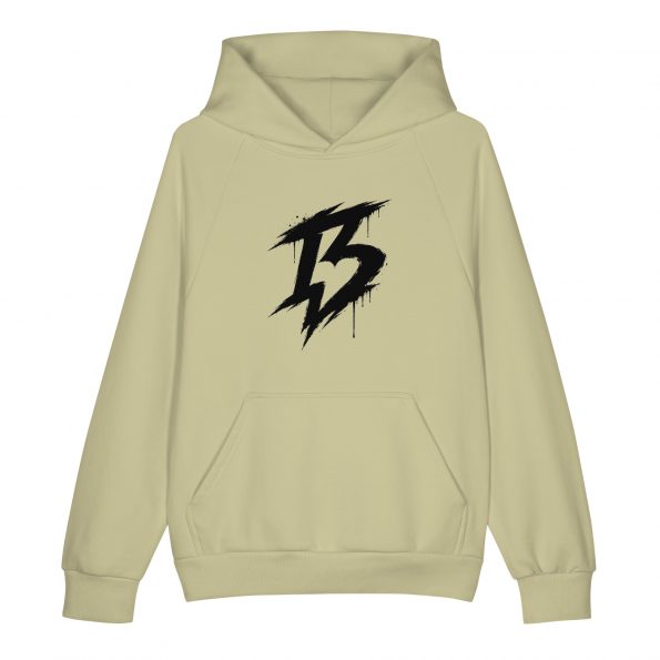 unisex-super-heavyweight-hoodie-moss-gray-front-6a307c4a0a706.jpg