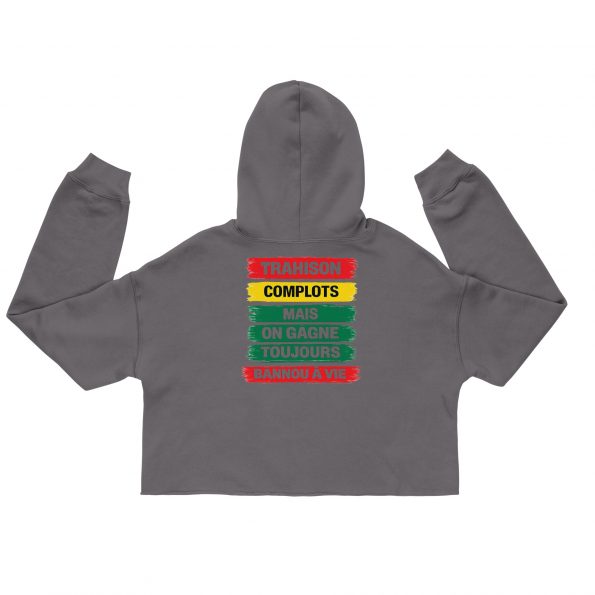 womens-cropped-hoodie-storm-back-6a25d7ff92b5c.jpg