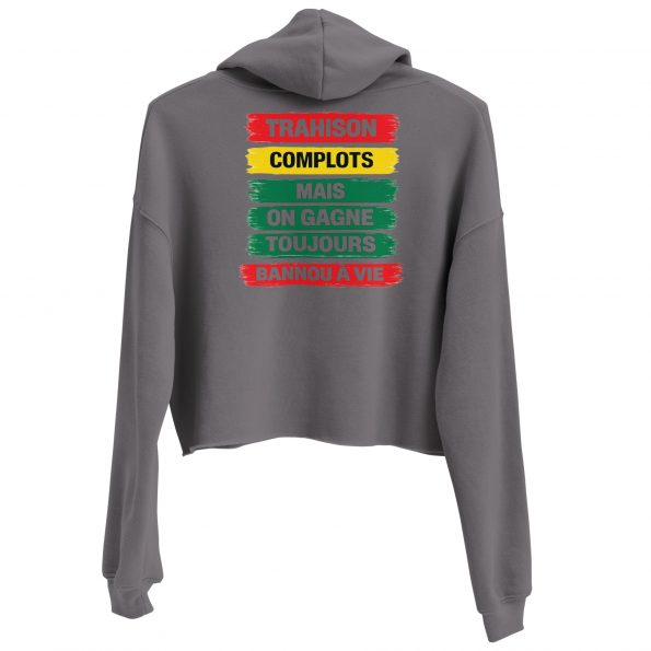 womens-cropped-hoodie-storm-back-6a25d7ff98618.jpg