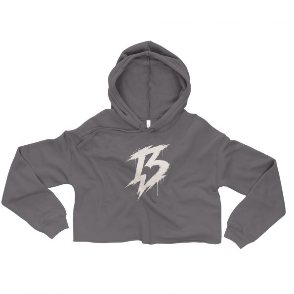 womens-cropped-hoodie-storm-front-6a25d7ff93bca.jpg