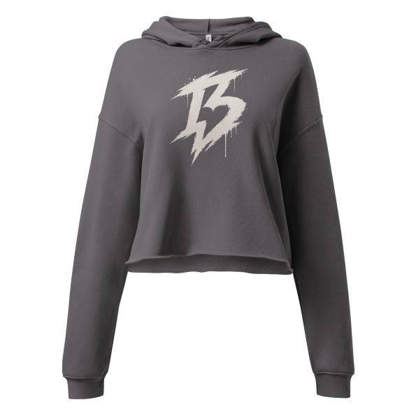 womens-cropped-hoodie-storm-front-6a25d7ffa18f8.jpg