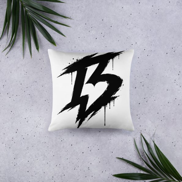 all-over-print-basic-pillow-18×18-front-6a77632ef2402.jpg