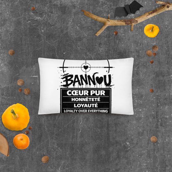 all-over-print-basic-pillow-20×12-back-6a77632ee328b.jpg