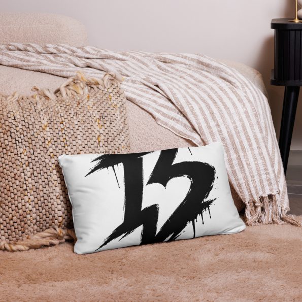 all-over-print-basic-pillow-20×12-front-6a77632eeacd8.jpg