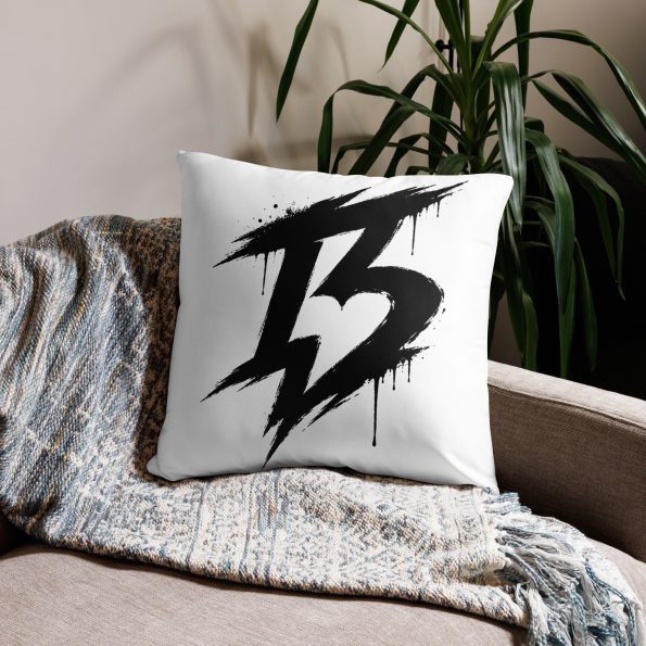 all-over-print-basic-pillow-22×22-front-6a77632ee99d7.jpg