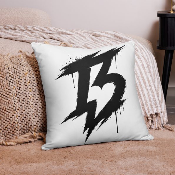 all-over-print-basic-pillow-22×22-front-6a77632eeb63c.jpg