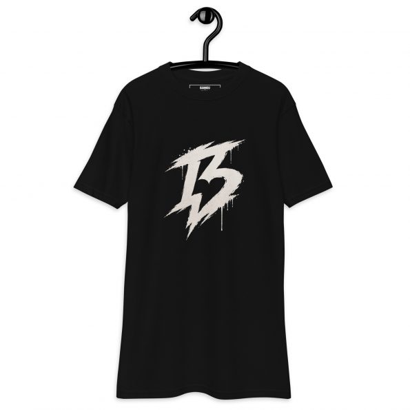 mens-premium-heavyweight-tee-black-front-6a86ecaa1e7cf.jpg