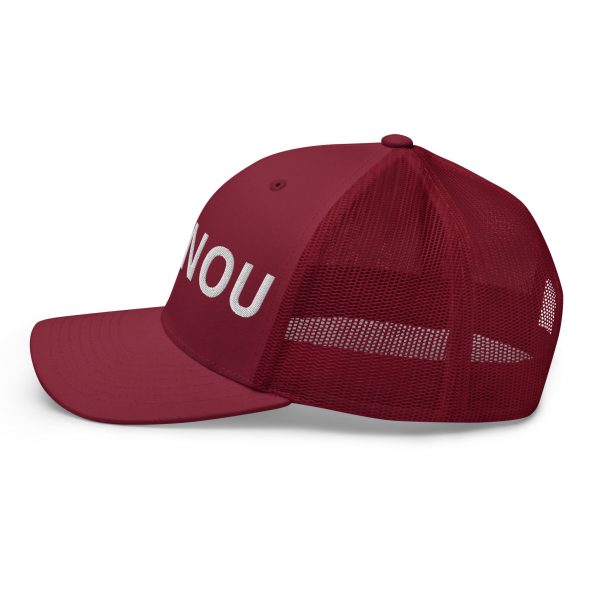 retro-trucker-hat-cranberry-left-6a8afafdd29de.jpg