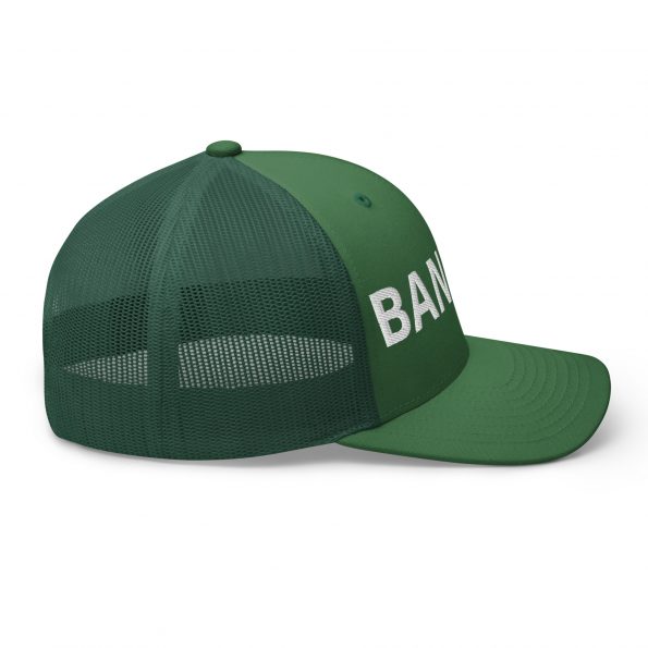 retro-trucker-hat-evergreen-right-6a8afafdd4227.jpg