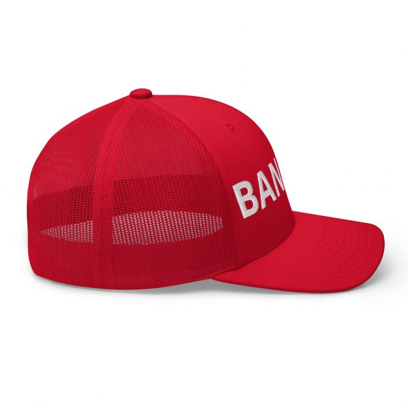 retro-trucker-hat-red-right-6a8afafdd4127.jpg
