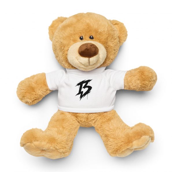 teddy-bear-with-a-t-shirt-white-front-6a775f357239c.jpg