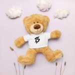 teddy-bear-with-a-t-shirt-white-front-6a775f357145e.jpg