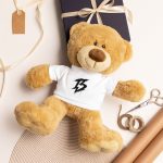 teddy-bear-with-a-t-shirt-white-front-6a775f357145e.jpg