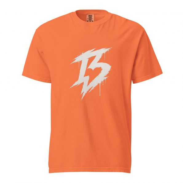 unisex-garment-dyed-heavyweight-t-shirt-burnt-orange-front-6a6f594c5cbae.jpg