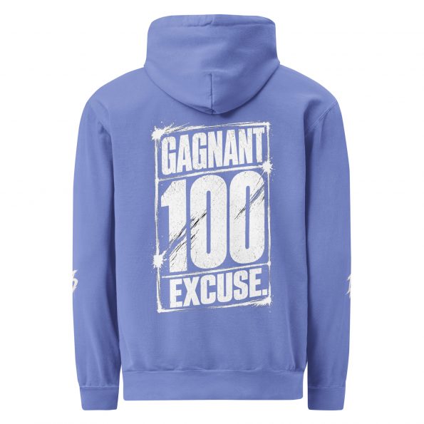 unisex-garment-dyed-hooded-sweatshirt-i-comfort-colors-1567-flo-blue-back-6a8ae15417c98.jpg