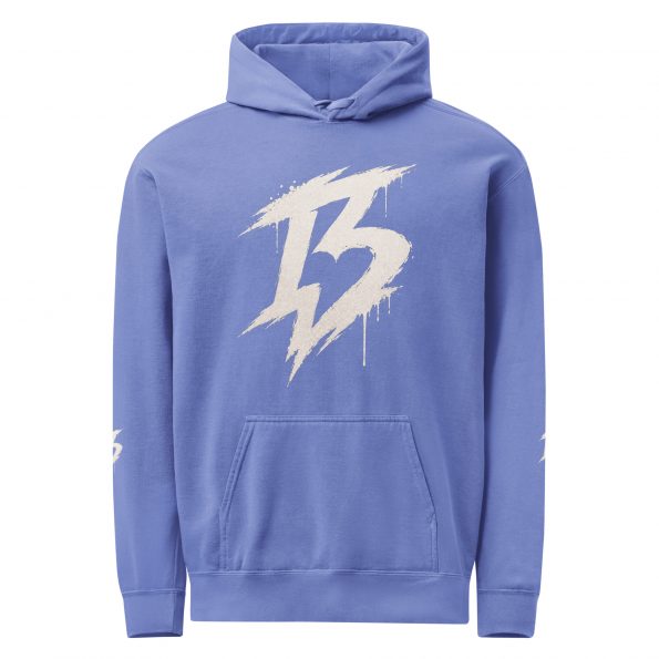 unisex-garment-dyed-hooded-sweatshirt-i-comfort-colors-1567-flo-blue-front-6a8ae15417815.jpg