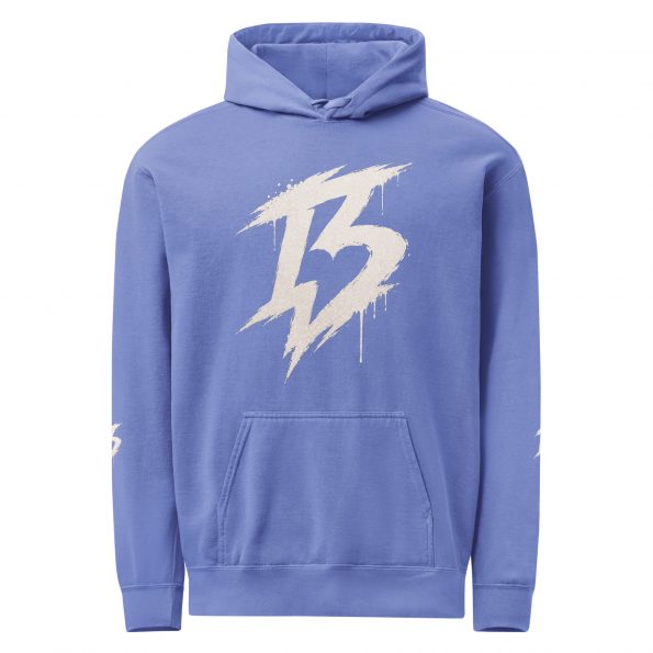 unisex-garment-dyed-hooded-sweatshirt-i-comfort-colors-1567-flo-blue-front-6a8ae57c1d68b.jpg