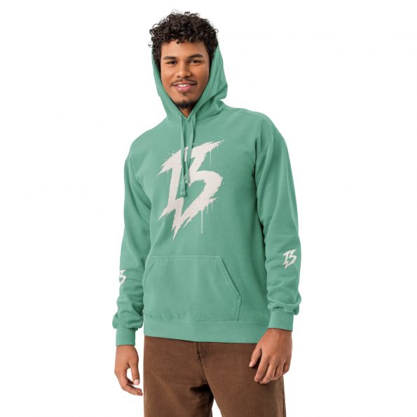 unisex-garment-dyed-hooded-sweatshirt-i-comfort-colors-1567-seafoam-front-6a8ae57c2034f.jpg
